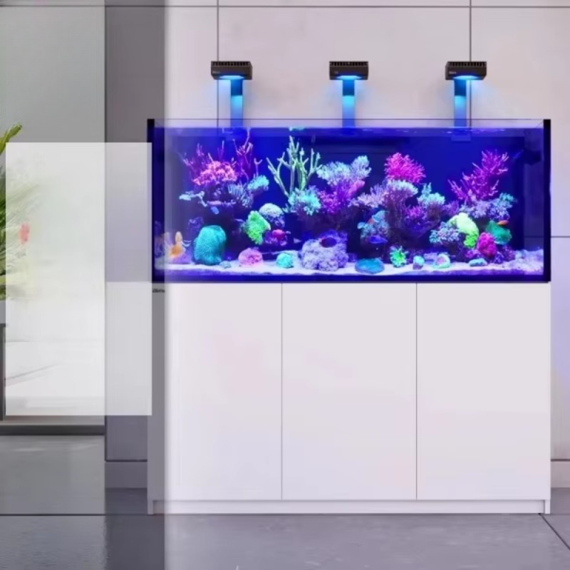 ตู้ปลากระจกหรูหราทันสมัยสำหรับ - Aquarium Fish Restaurant บทวิจารณ์และราคา