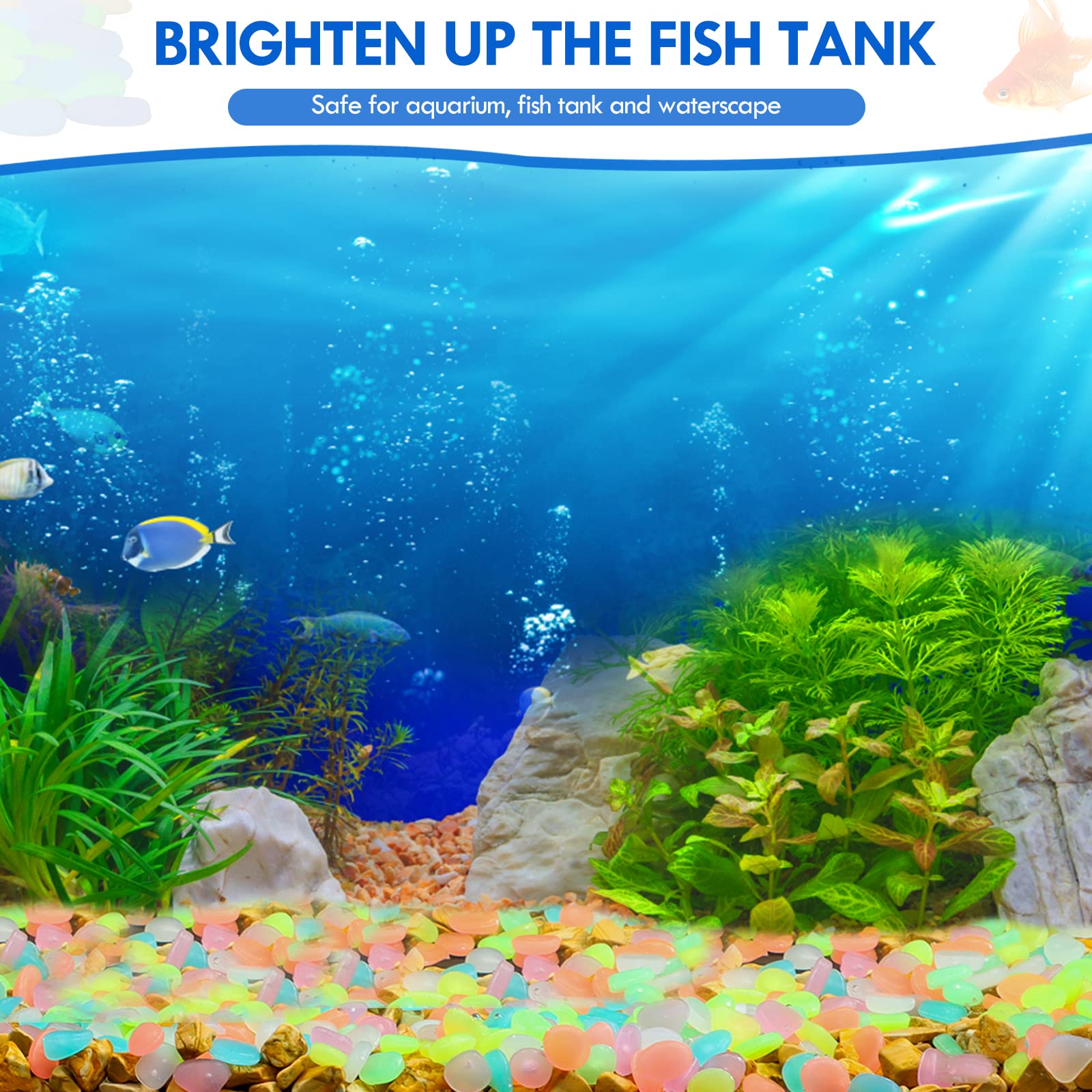 100 ชิ้น Glow in the Dark Gard - Aquarium Fish Guppy บทวิจารณ์และราคา