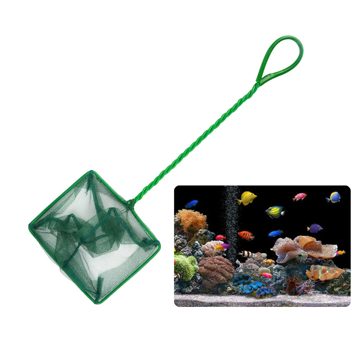 3 ~ 10 นิ้วแบบพกพาไนลอนสีเขียว - Aquarium Fish Maintenance บทวิจารณ์และราคา