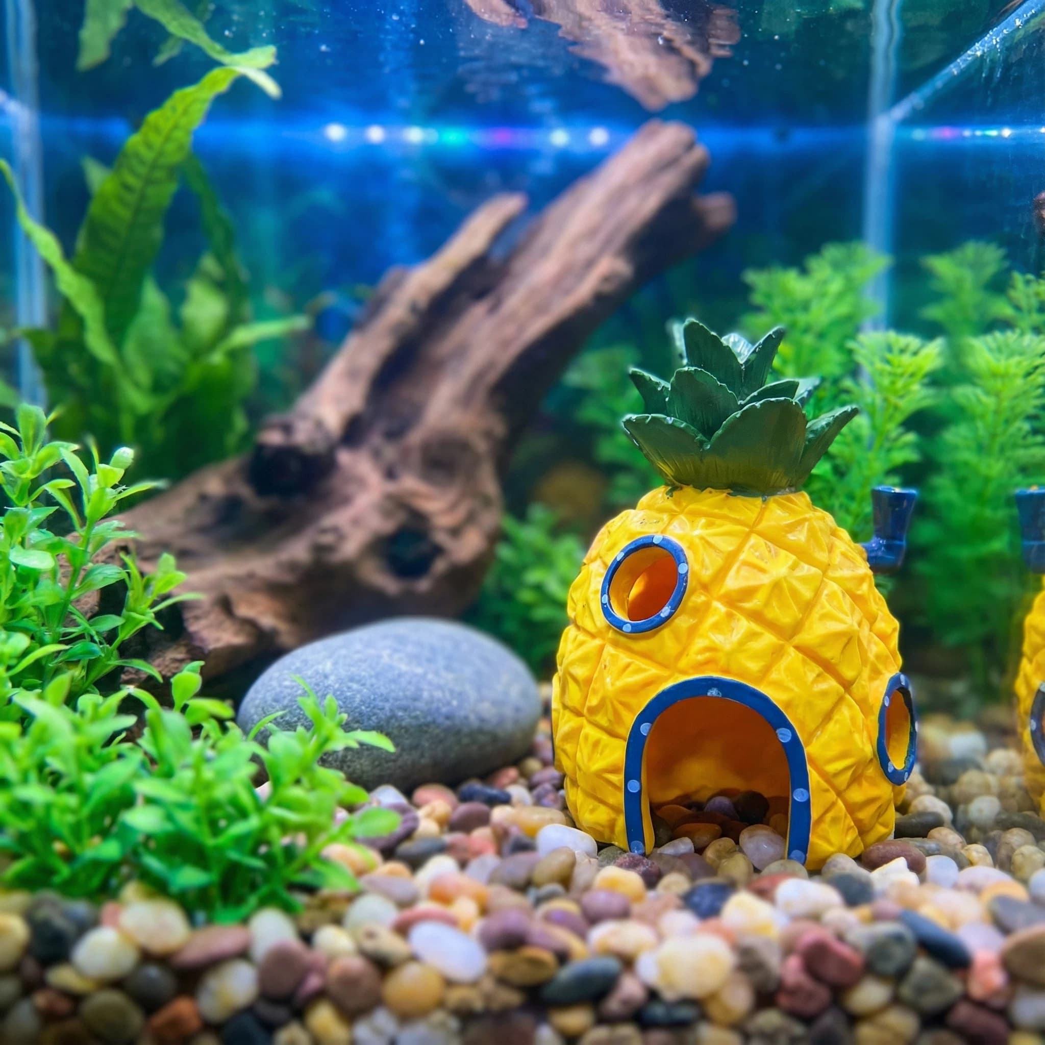 ของตกแต่งตู้ปลาทรงบ้านสับปะรด， - Aquarium Fish Hide บทวิจารณ์และราคา