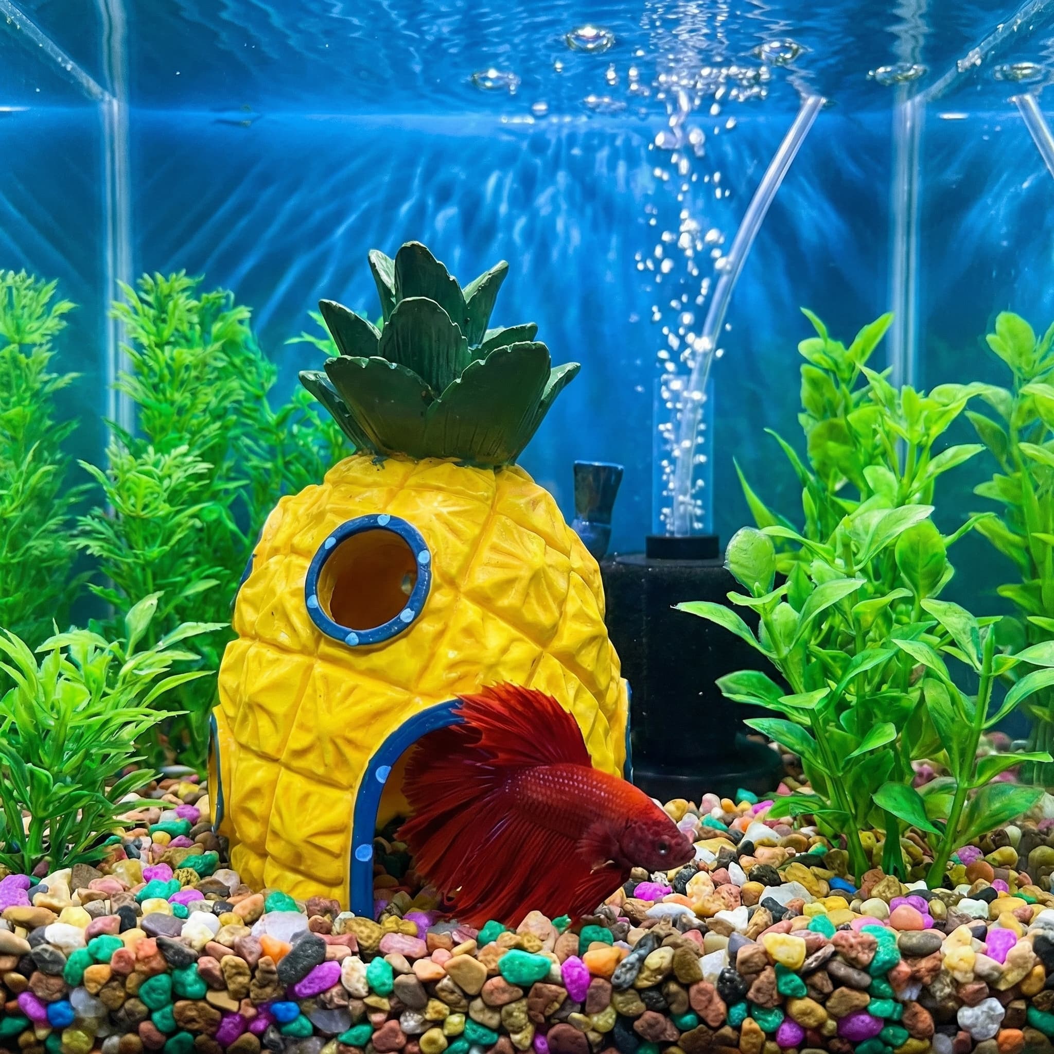 ของตกแต่งตู้ปลาทรงบ้านสับปะรด， - Aquarium Fish Hide บทวิจารณ์และราคา