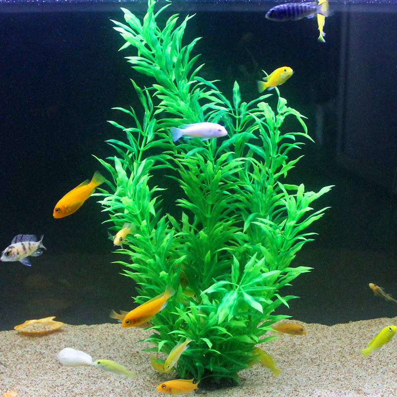 50 ซม.ถังปลาประดิษฐ์พืชหายากAq - Aquarium Fish Guppy บทวิจารณ์และราคา