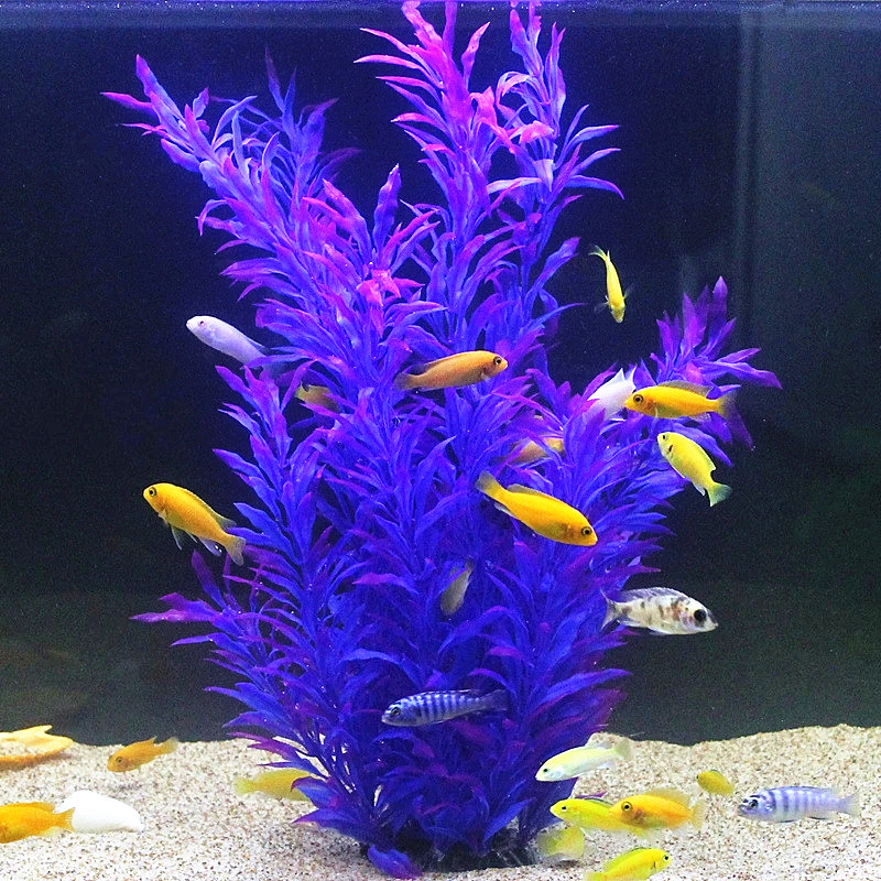 50 ซม.ถังปลาประดิษฐ์พืชหายากAq - Aquarium Fish Guppy บทวิจารณ์และราคา