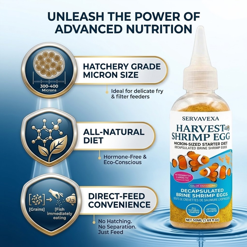 อาหารปลาโปรตีนสูงสำหรับปลากัด  - Aquarium Fish Medicine บทวิจารณ์และราคา