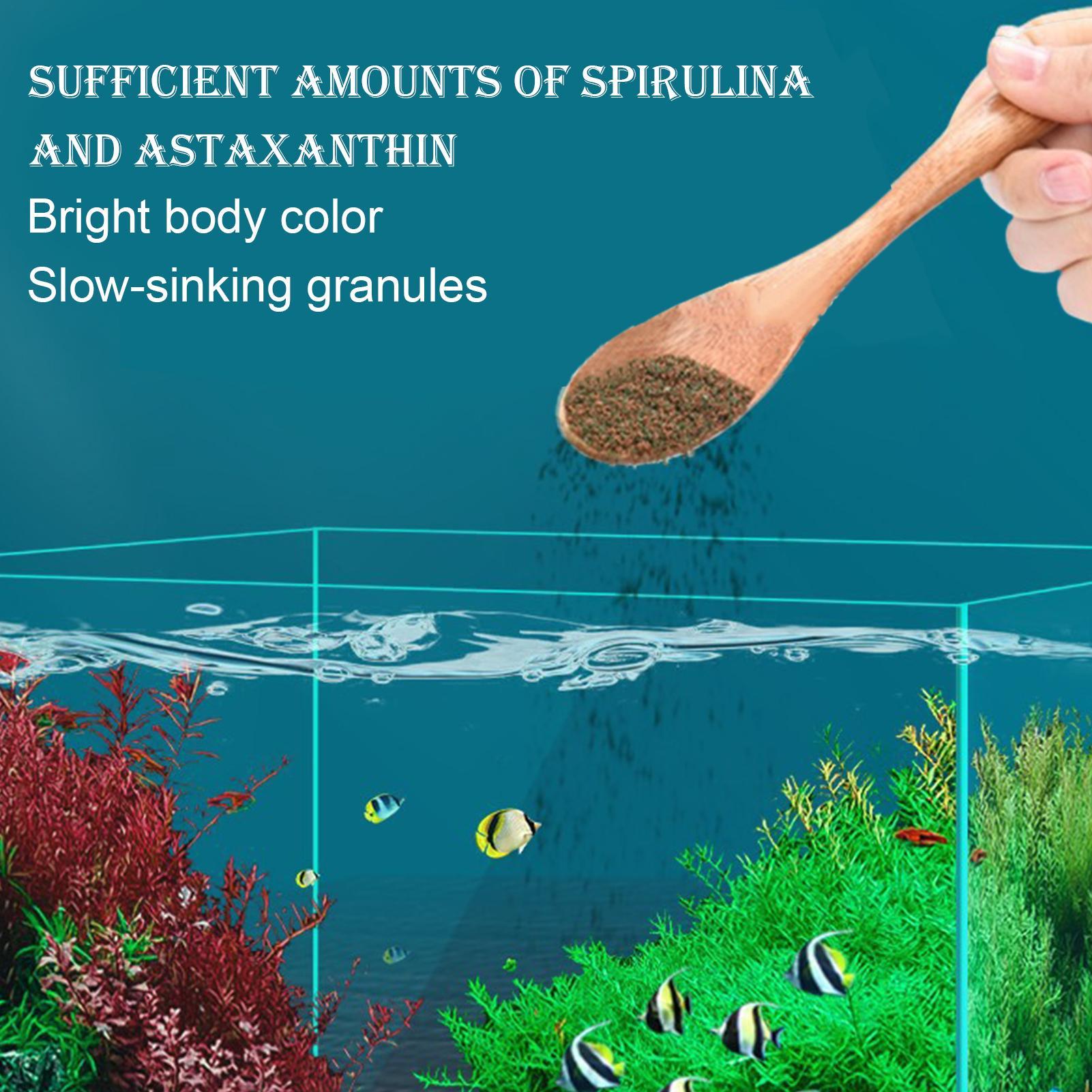 อาหารปลาเบต้า อาหารปลาสวยงาม อ - Aquarium Fish Restaurant บทวิจารณ์และราคา
