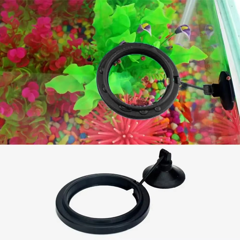 Aquarium Feeding แหวนถังปลา St - Aquarium Fish Medicine บทวิจารณ์และราคา